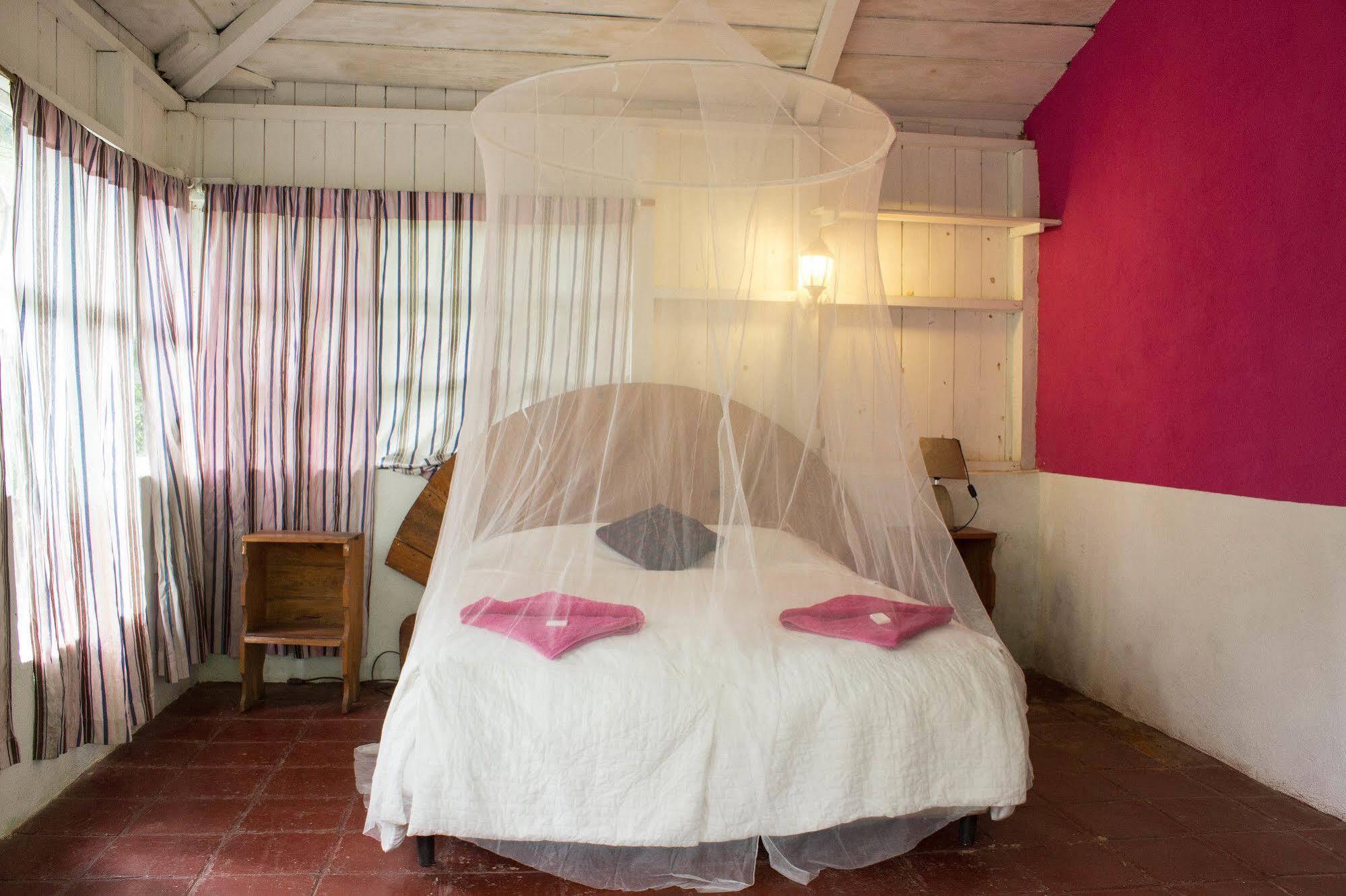 Hotel Y Restaurante La Casa Rosa סנטה קרוז לה לגונה מראה חיצוני תמונה